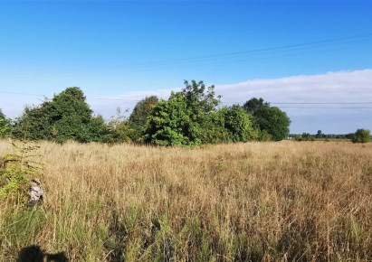 działka na sprzedaż - Czarna