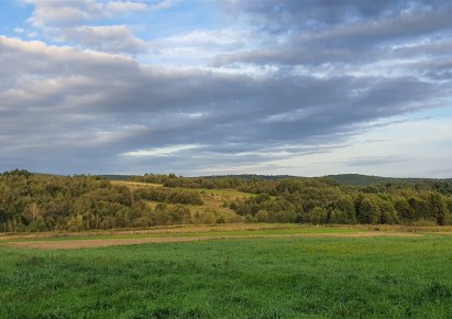 działka na sprzedaż - Pruchnik , Kramarzówka