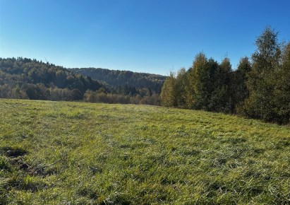 działka na sprzedaż - Dynów (gw), Wyręby