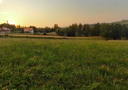 działka na sprzedaż - Tyczyn, Borek Stary